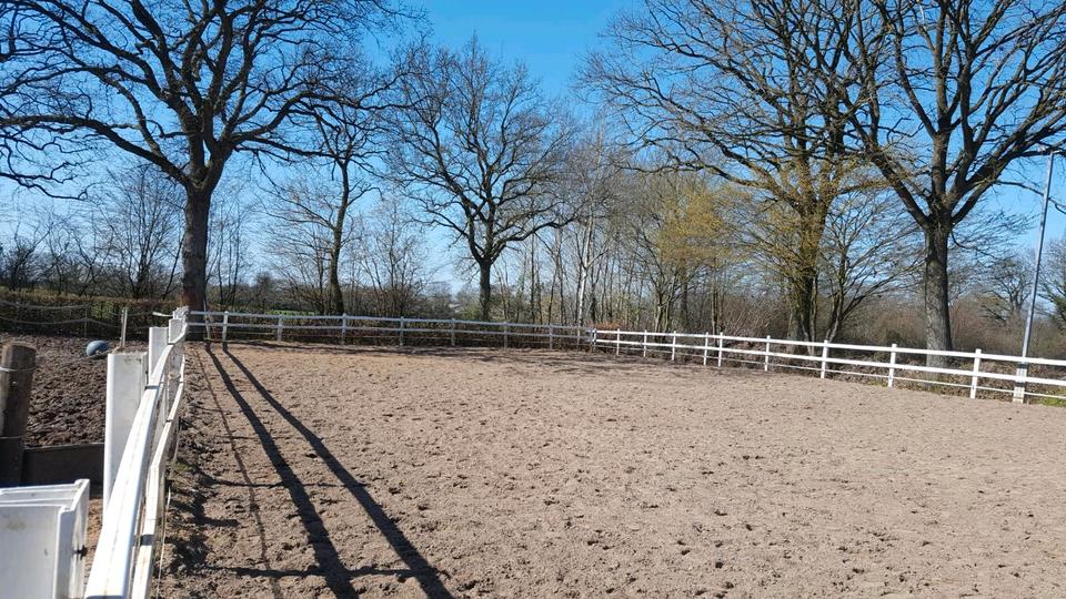 Erdgeschoßwohnung Henstedt-Ulzburg Ulzburg - 1 Zimmer, 30 m&sup2;, 650&euro; | Angebot:26310556