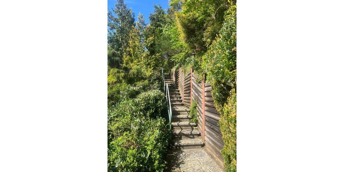 Ferienhaus Blockhaus Harz b 8 Pers +Hunde Terrassen 2 Kamine 4 zimmer