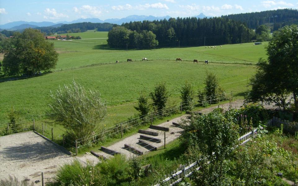 Etagenwohnung Rückholz - 1 Zimmer, 34 m&sup2;, 290&euro; | Angebot:26023268