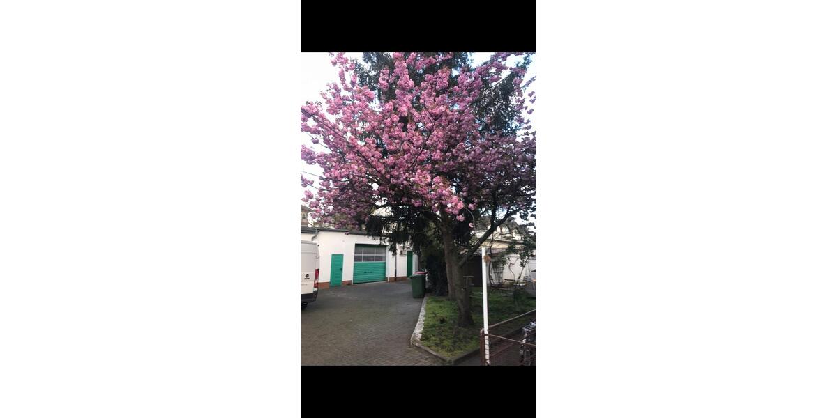 Erdgeschoßwohnung Offenbach am Main Bieberer Berg - 3 Zimmer, 64 m&sup2;, 1.050&euro; | Angebot:26036565