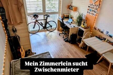 2er WG Konstanz Königsbau 16 zimmer