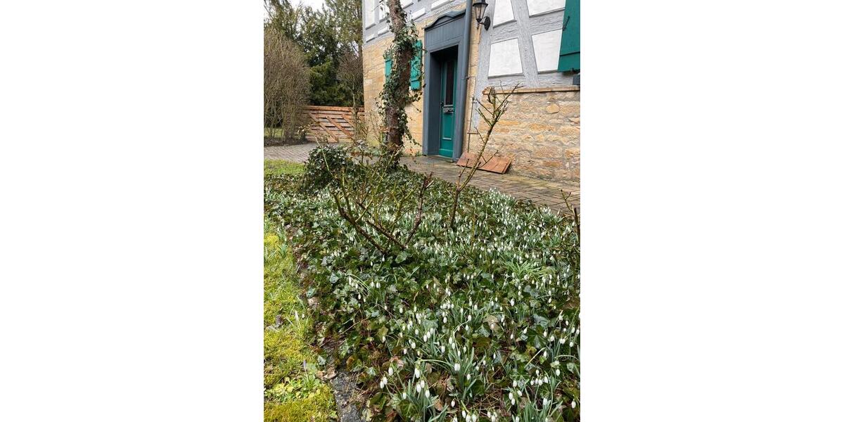 Erdgeschoßwohnung Iphofen - 3 Zimmer, 76 m&sup2;, 750&euro; | Angebot:26329491