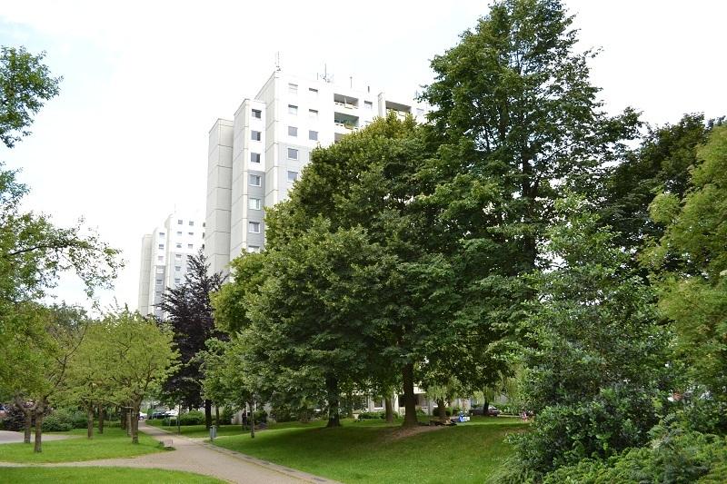 Familien-Wohnung mit 4 Zimmern, großen Balkon und separater Küche - nur mit WBS anzumieten!! 4 zimmer