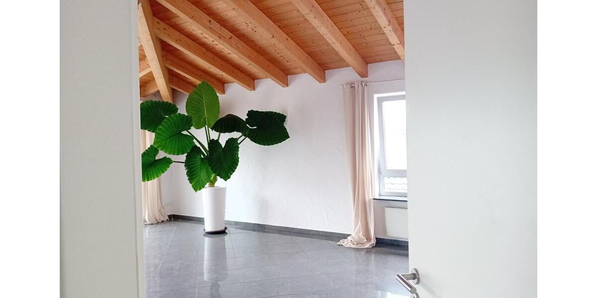 Großzügige Penthouse-Wohnung (ca. 210 m²) zu vermieten 5 zimmer