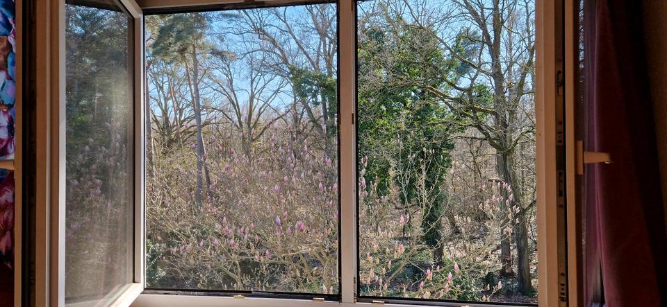 Wohnen auf Zeit Sassenburg - 1 Zimmer, 12 m&sup2;, 300&euro; | Angebot:25933317