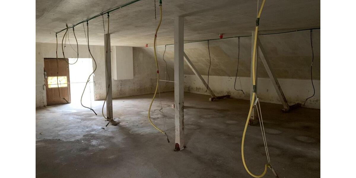 Gewerbeobjekt Oberkirch - 300&euro; | Angebot:24837849