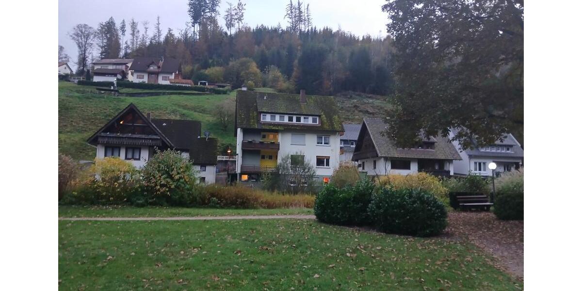 Erdgeschoßwohnung Baiersbronn - 1.5 Zimmer, 55 m&sup2;, 400&euro; | Angebot:24605877