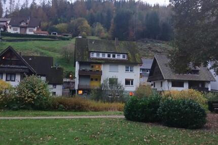 Wohnung Baiersbronn - 1.5 Zimmer, 55 m&sup2;, 400&euro; | Angebot:24605877