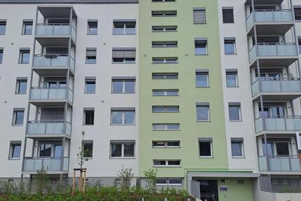 Wohnung Cottbus Spremberger Vorstadt - 1 Zimmer, 44 m&sup2;, 575&euro; | Angebot:20537091