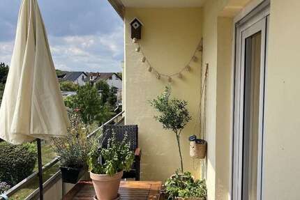 Wohnung Rheinbach - 3 Zimmer, 68 m&sup2;, 710&euro; | Angebot:26112728