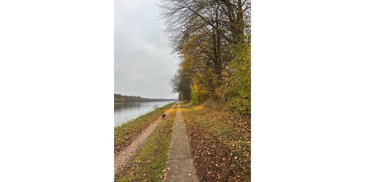 Einfamilienhaus Sehestedt - 6 Zimmer, 165 m&sup2;, 2.200&euro; | Angebot:25513212