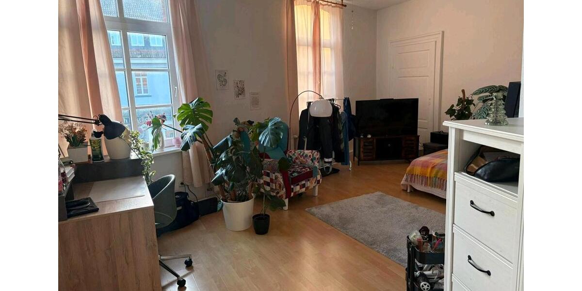 Wohnen auf Zeit Nienburg (Weser) - 1 Zimmer, 23 m&sup2;, 376&euro; | Angebot:25311488