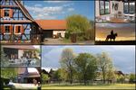 Wohnen auf Zeit Wörth am Rhein - 1 Zimmer, 18 m&sup2;, 45&euro; | Angebot:26417730