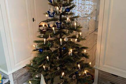 4-Zimmer-Erdgeschosswohnung mit großer Terrasse in Bammental zu vermieten 4 zimmer