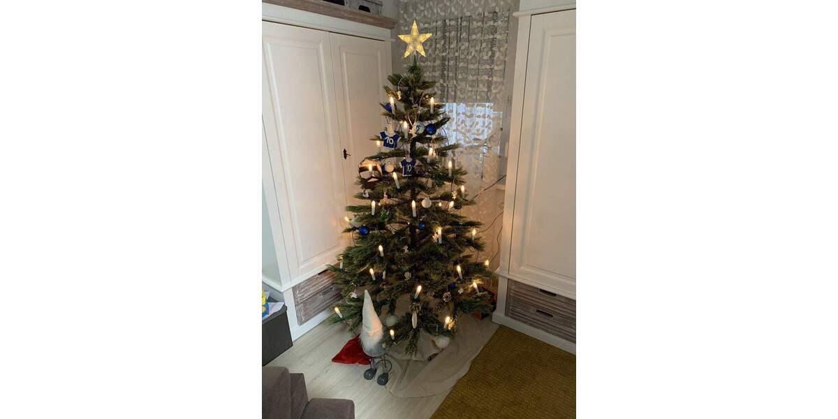 4-Zimmer-Erdgeschosswohnung mit großer Terrasse in Bammental zu vermieten 4 zimmer