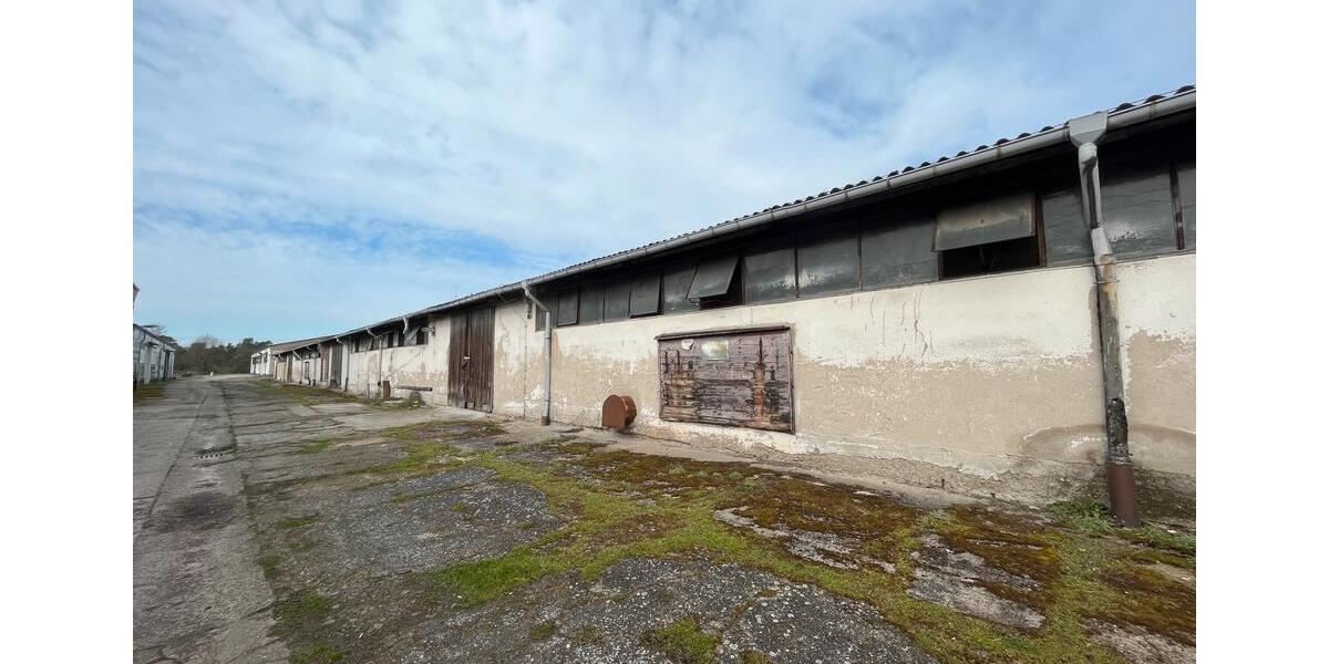 Gewerbeobjekt Zehdenick - 3&euro; | Angebot:15392909