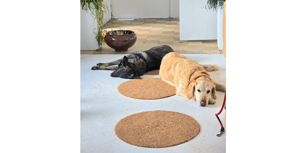 Gewerbeobjekt Heiligenhafen - 350&euro; | Angebot:26014400