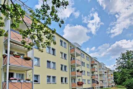 Wohnung Zwickau Zwickau-West - 2 Zimmer, 49 m&sup2;, 260&euro; | Angebot:26844791