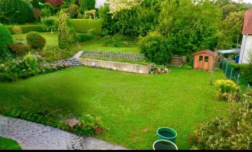 Einfamilienhaus Lahr (Schwarzwald) - 5 Zimmer, 90 m&sup2;, 1.260&euro; | Angebot:25055484