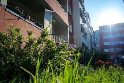 Wohnung zum Mieten in Halle (Saale) 360 € 57.31 m² 3 zimmer