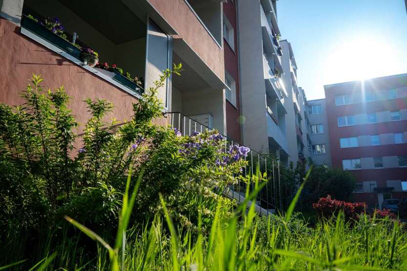 Wohnung zum Mieten in Halle (Saale) 360 € 57.31 m² 3 zimmer