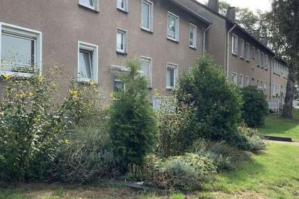 Wohnung zum Mieten in Duisburg 359 € 41.5 m²