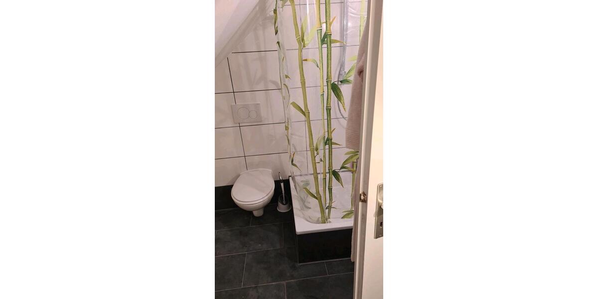 Dachgeschoßwohnung Barsinghausen - 2 Zimmer, 50 m&sup2;, 675&euro; | Angebot:24362548