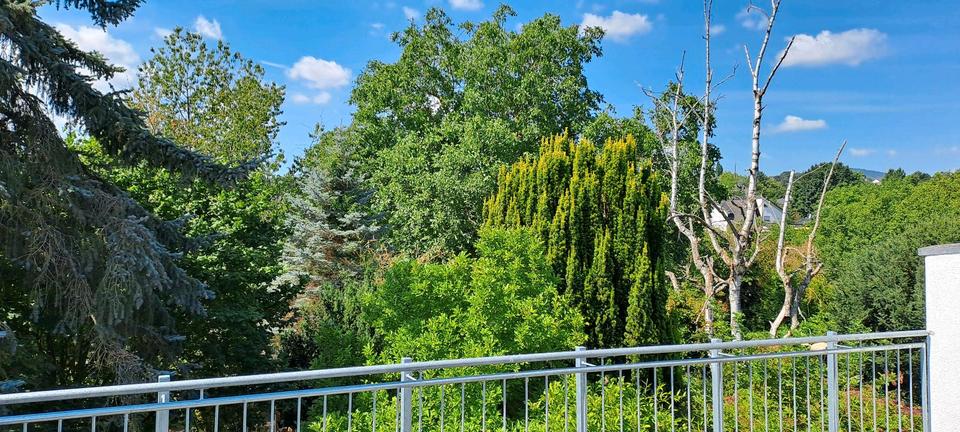 Wohnen auf Zeit Mendig - 2 Zimmer, 45 m&sup2;, 300&euro; | Angebot:25961375