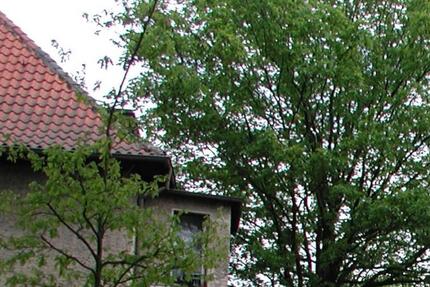 Hohen Neuendorf: 2-Zimmer DG-Wohnung teilmöbliert zu vermieten 2 zimmer