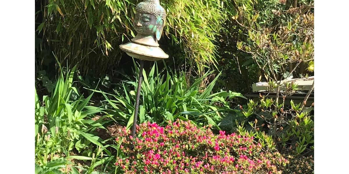 Dachgeschoßwohnung Bad Hersfeld - 2 Zimmer, 50 m&sup2;, 450&euro; | Angebot:25932501