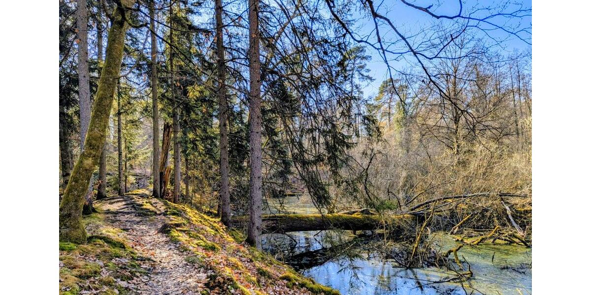 Wohnen auf Zeit Wörth am Rhein - 1 Zimmer, 18 m&sup2;, 45&euro; | Angebot:26417730
