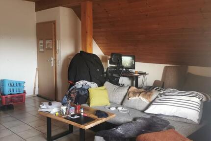 Wohnung Troisdorf Bergheim - 1 Zimmer, 41 m&sup2;, 480&euro; | Angebot:24976268