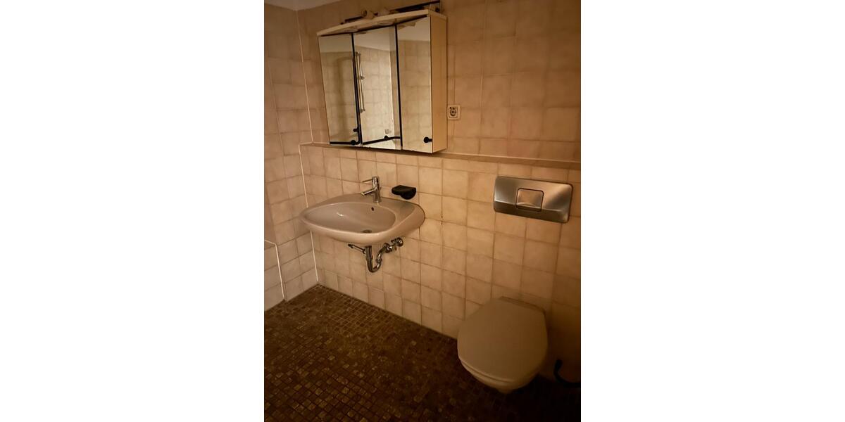 Hübsche Wohnung mit Galerie in Steinach zu vermieten 1 zimmer