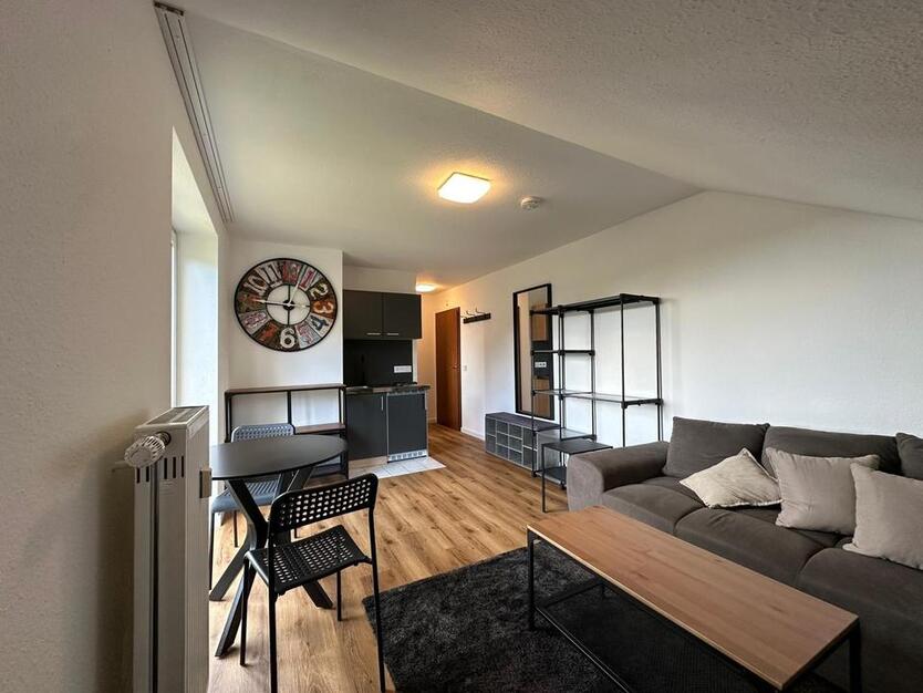 Möbliertes frisch renoviertes 1-Zimmer-Apartment