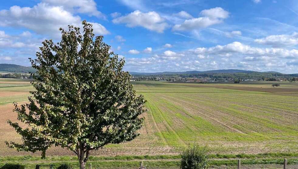 Wohnung zum Mieten in Freigericht 900 € 79 m²