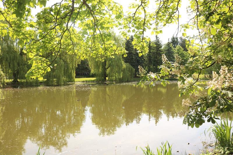 Etagenwohnung Pößneck - 3 Zimmer, 54 m&sup2;, 620&euro; | Angebot:24508179