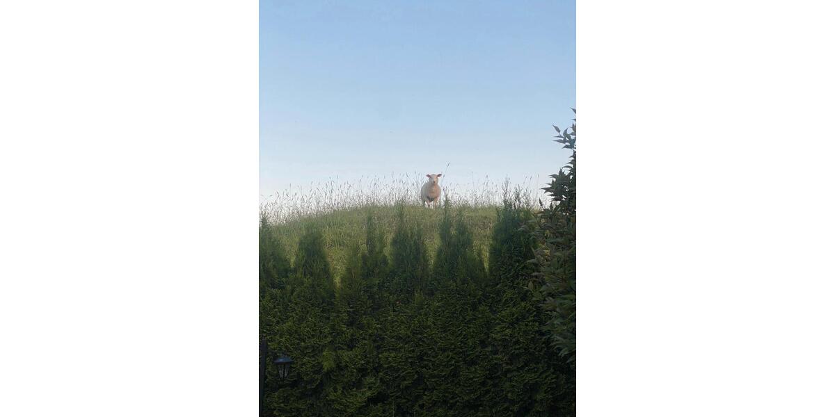 Erdgeschoßwohnung Elmshorn - 2.5 Zimmer, 85 m&sup2;, 1.375&euro; | Angebot:26032331