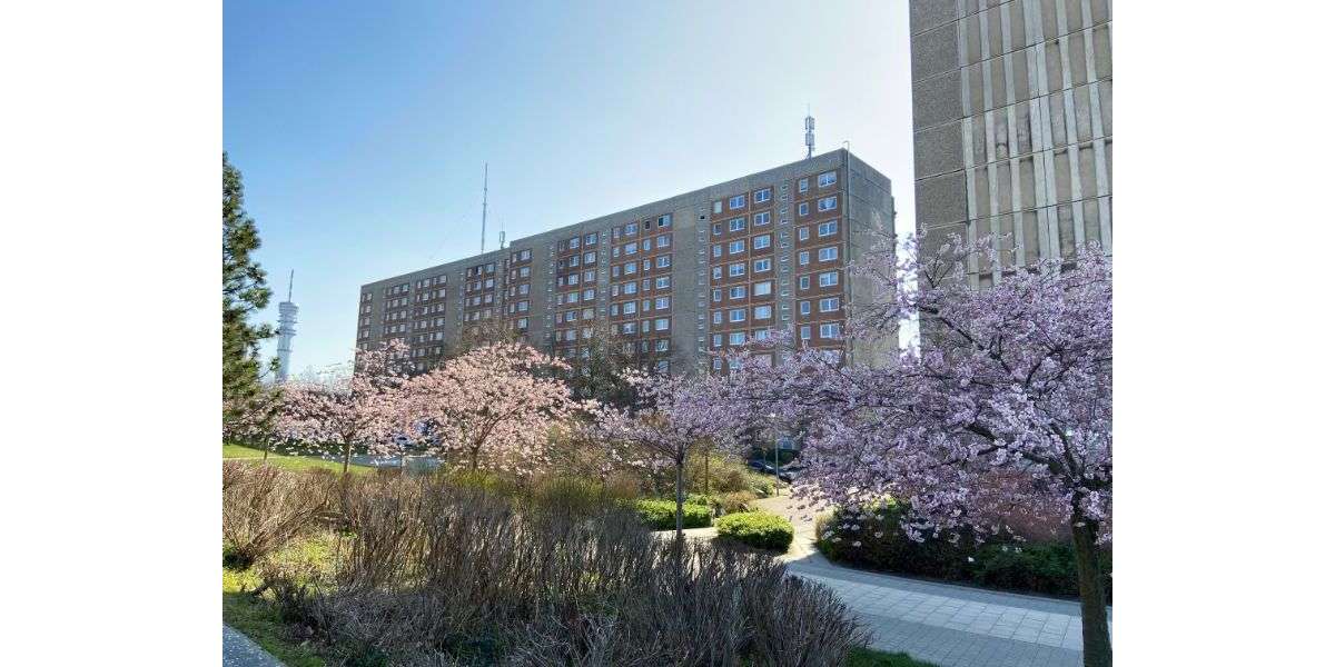 Etagenwohnung Schwerin Neu Zippendorf - 3 Zimmer, 68 m&sup2;, 424&euro; | Angebot:26096669