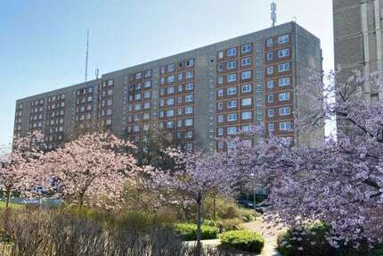 Wohnung Schwerin Neu Zippendorf - 3 Zimmer, 68 m&sup2;, 424&euro; | Angebot:26096669