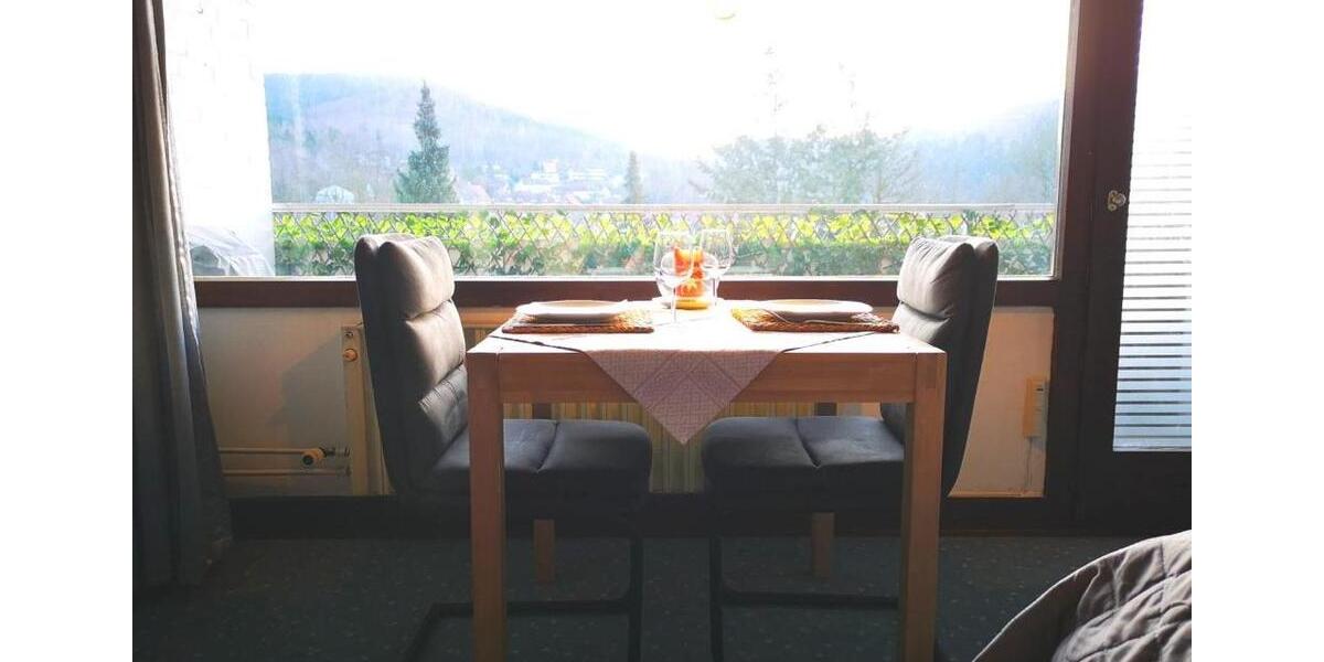 Etagenwohnung Bad Grund (Harz) - 1 Zimmer, 30 m&sup2;, 360&euro; | Angebot:26691588