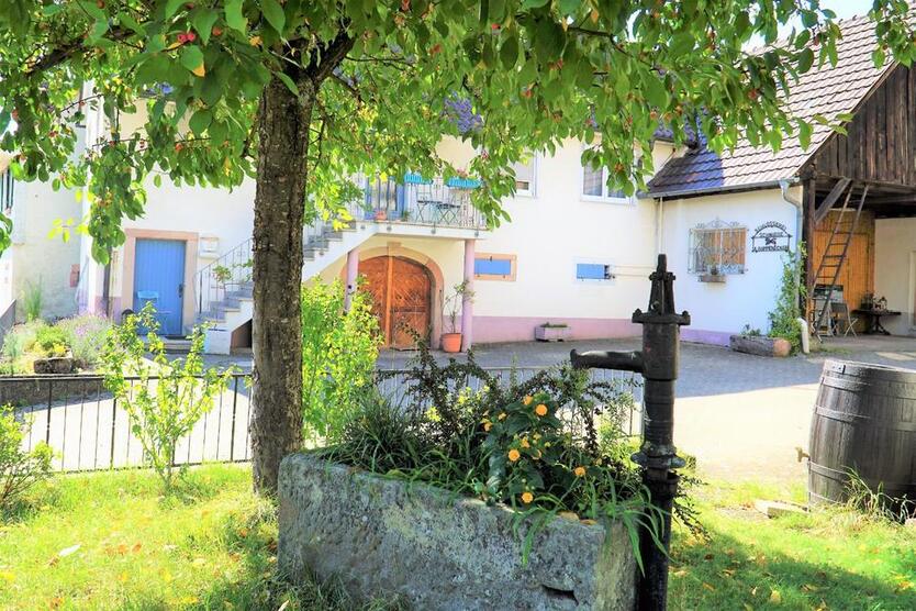 Ferienhaus FerienWohnung Lahr Schwarzwald Region Europapark
