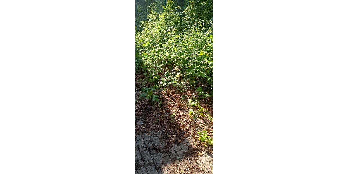 Gewerbeobjekt Hamm Berge - 2.400&euro; | Angebot:26685276
