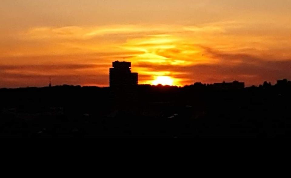 Einfamilienhaus Kaiserslautern Betzenberg - 2 Zimmer, 1.050&euro; | Angebot:24373858