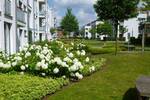 Etagenwohnung Elmshorn - 2 Zimmer, 54 m&sup2;, 568&euro; | Angebot:26696706