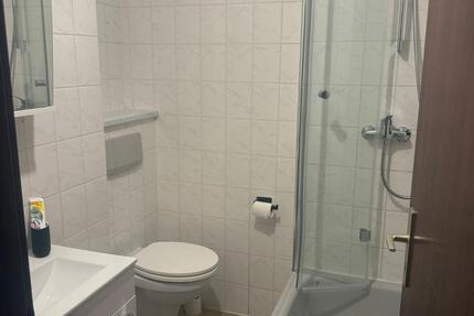 frisch renovierte und voll möbliertes Appartement in Heidelberg zimmer