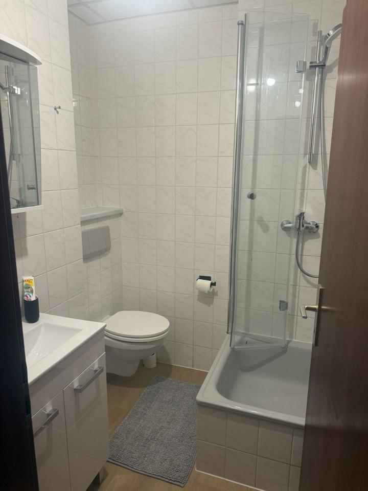 frisch renovierte und voll möbliertes Appartement in Heidelberg zimmer