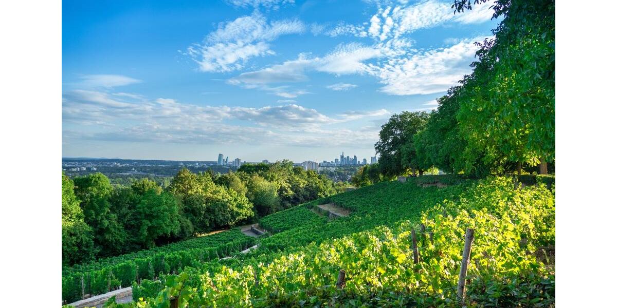 Reisemobilstellplatz im Rhein-Main-Gebiet zu verpachten zimmer