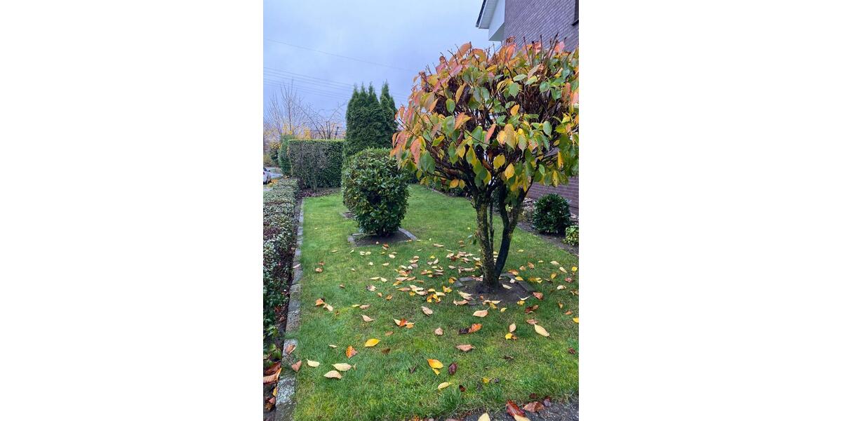 Erdgeschoßwohnung Cloppenburg - 3 Zimmer, 101 m&sup2;, 880&euro; | Angebot:24712001