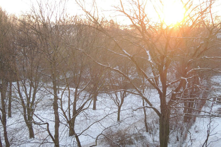 Schönes Zimmer mit eigenem Bad in Jugendstilwohnung am Park zimmer