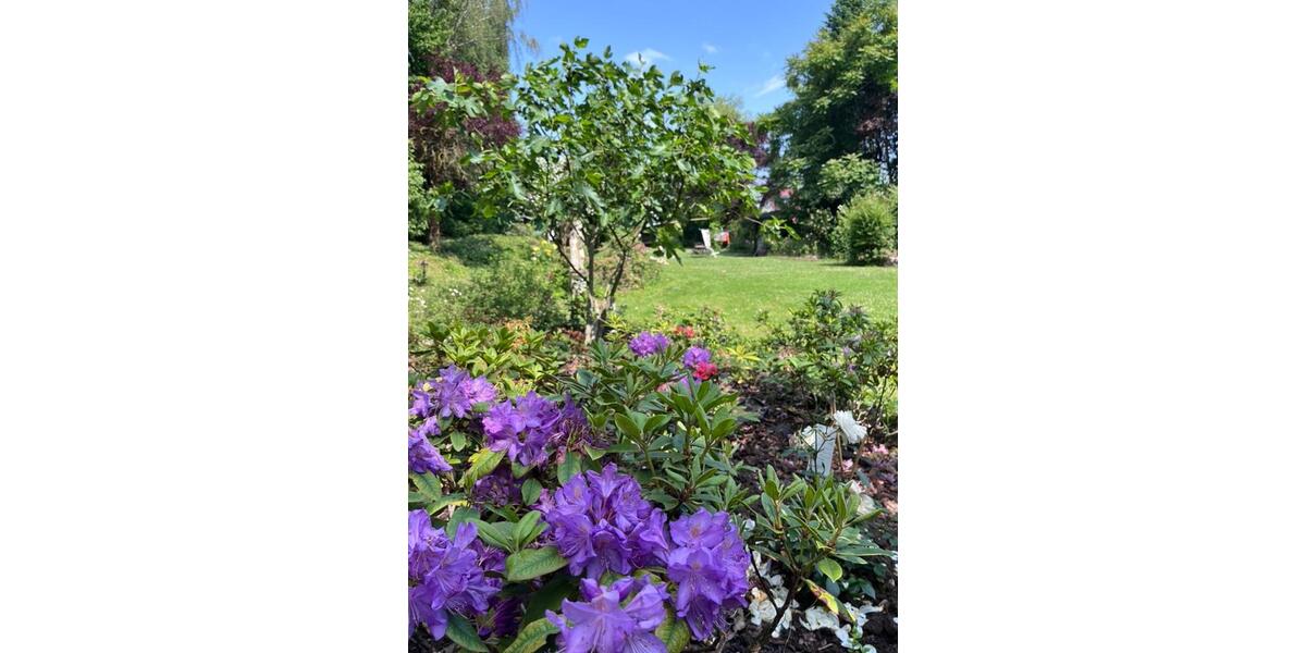 Etagenwohnung Schöneck - 2.5 Zimmer, 45 m&sup2;, 850&euro; | Angebot:25129118